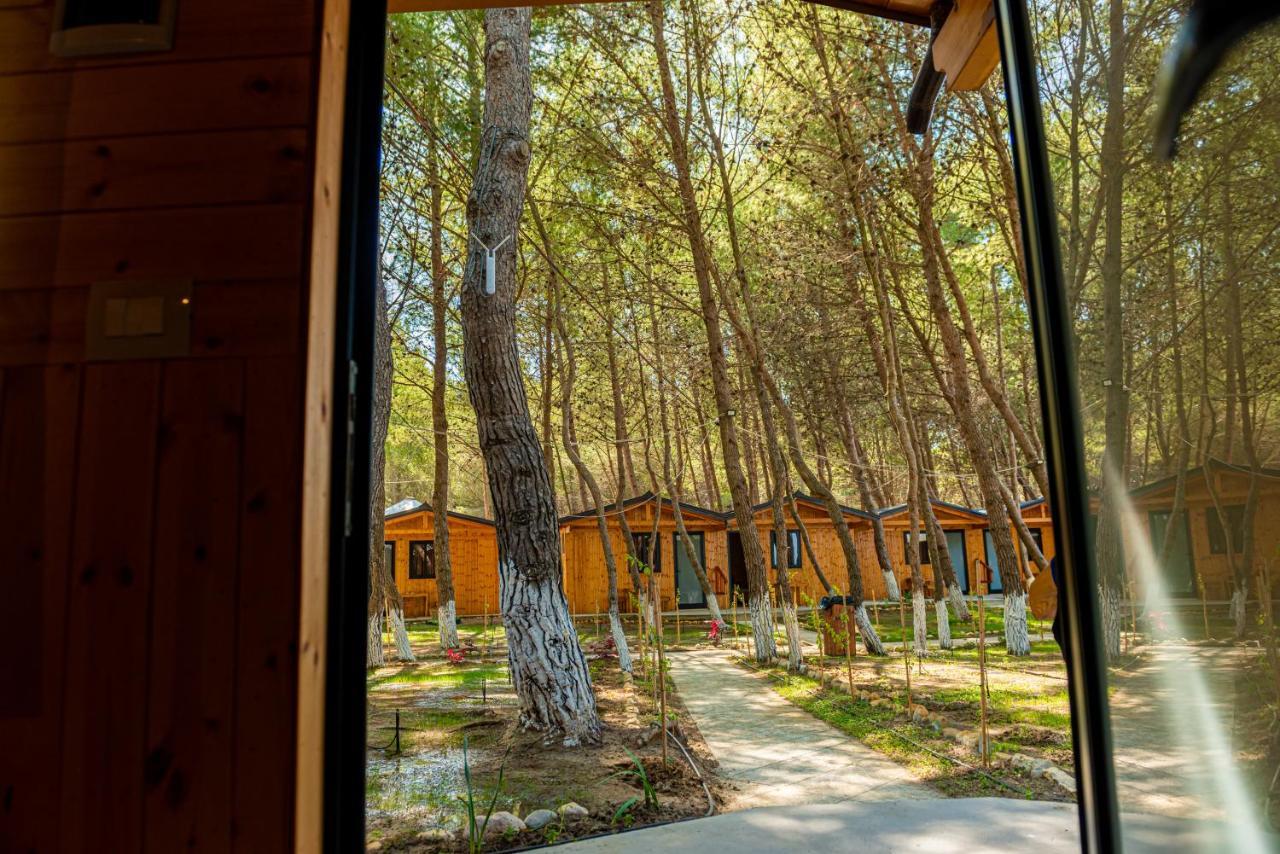 Ecuador Resort Zverneci Екстериор снимка